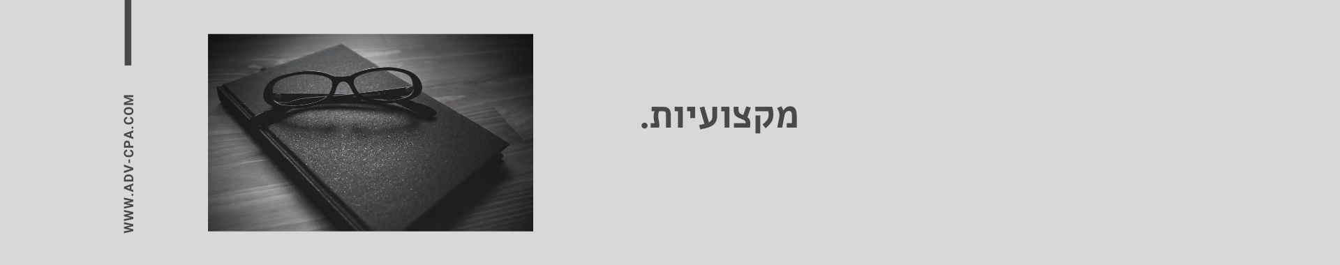 תמונה מס' 1